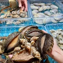 曼格蒸汽活海鲜·榴莲自助(宝安大仟里国潮店) - 深圳市旅游 缩略图 9