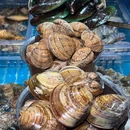 曼格蒸汽活海鲜·榴莲自助(宝安大仟里国潮店) - 深圳市旅游 缩略图 8