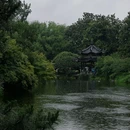 杭州花港观鱼 - 杭州市旅游 缩略图 4