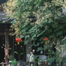 新市古镇景区 - 湖州市旅游 缩略图 8