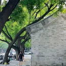 万松老人塔 - 北京旅游 缩略图 5