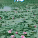 长广溪国家城市湿地公园 - 无锡市旅游 缩略图 1