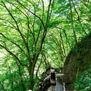 云台山风景名胜区 - 焦作市旅游 缩略图 2