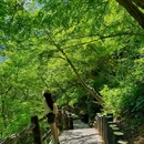 云台山风景名胜区 - 焦作市旅游 缩略图 8