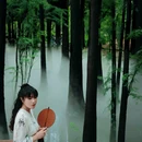 东湖落雁景区-北门 - 武汉市旅游 缩略图 4