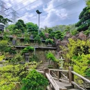 丽枫酒店(深圳机场福永地铁站店) - 深圳市旅游 缩略图 2