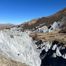 成都动物园 - 成都市旅游 缩略图 6