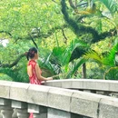 中山公园 - 佛山市旅游 缩略图 5