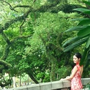 中山公园 - 佛山市旅游 缩略图 4