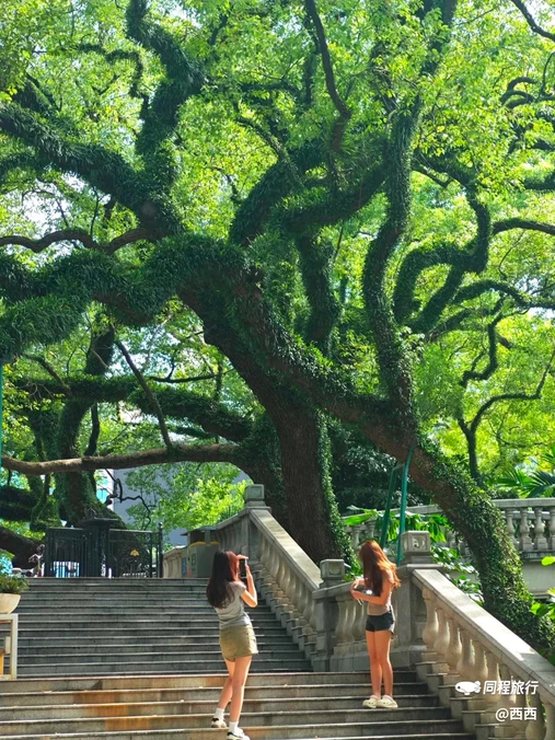 中山公园 - 佛山市旅游