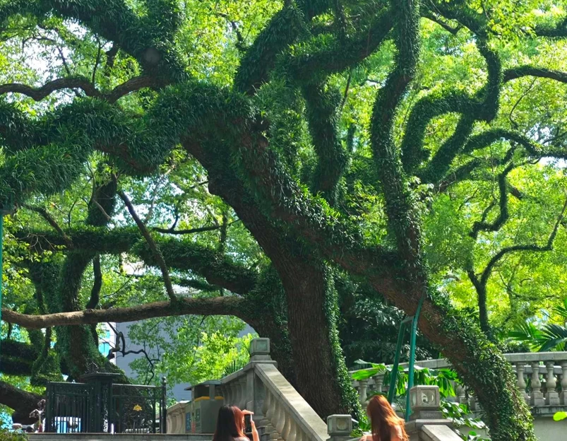 中山公园 - 佛山市旅游 1