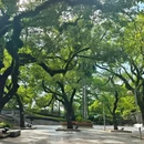 中山公园 - 佛山市旅游 缩略图 7