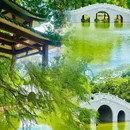 东莞旗峰公园 - 东莞市旅游 缩略图 2