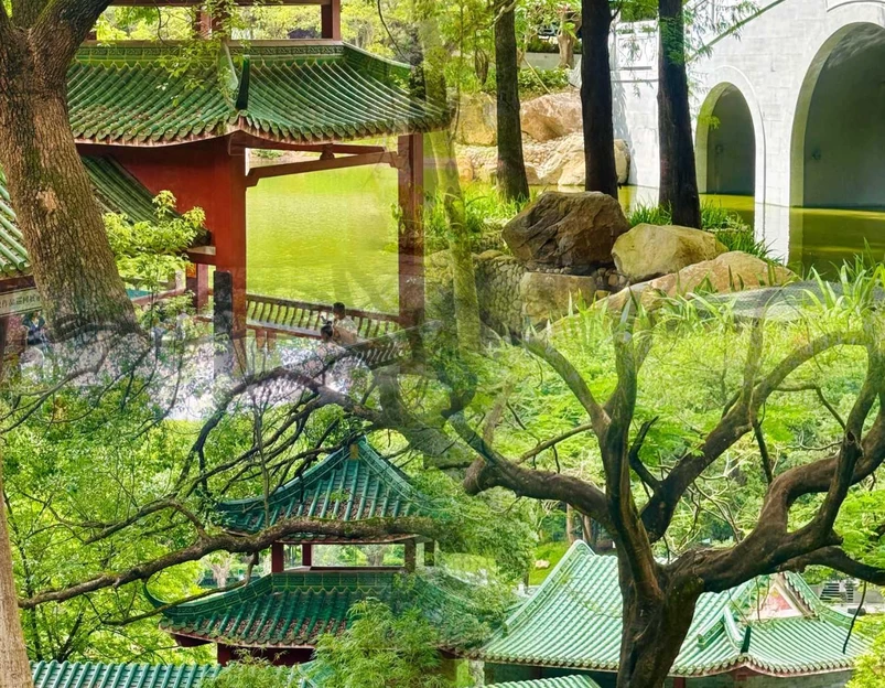 东莞旗峰公园 - 东莞市旅游 1