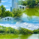 东莞旗峰公园 - 东莞市旅游 缩略图 6