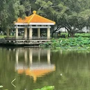 洪湖公园(文锦北路)-芙蓉桥 - 深圳市旅游 缩略图 4