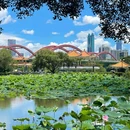 洪湖公园(文锦北路)-芙蓉桥 - 深圳市旅游 缩略图 1