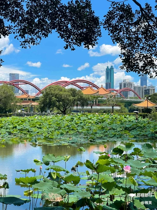 洪湖公园(文锦北路)-芙蓉桥 - 深圳市旅游