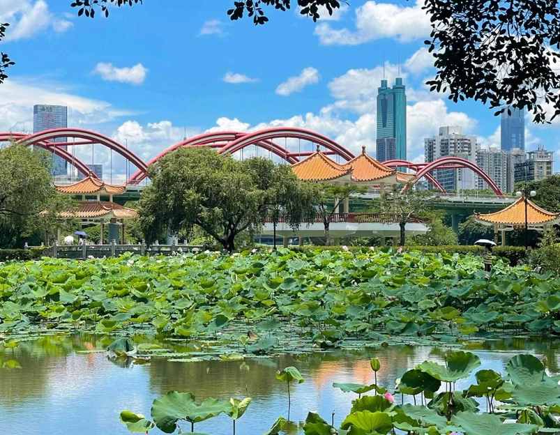 洪湖公园(文锦北路)-芙蓉桥 - 深圳市旅游 1