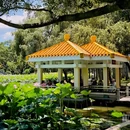 洪湖公园(文锦北路)-芙蓉桥 - 深圳市旅游 缩略图 3