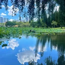 洪湖公园(文锦北路)-芙蓉桥 - 深圳市旅游 缩略图 2