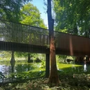 洪湖公园(文锦北路)-芙蓉桥 - 深圳市旅游 缩略图 6