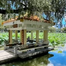 洪湖公园(文锦北路)-芙蓉桥 - 深圳市旅游 缩略图 9
