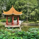 洪湖公园(文锦北路)-芙蓉桥 - 深圳市旅游 缩略图 8