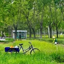 北坞公园 - 北京市旅游 缩略图 1