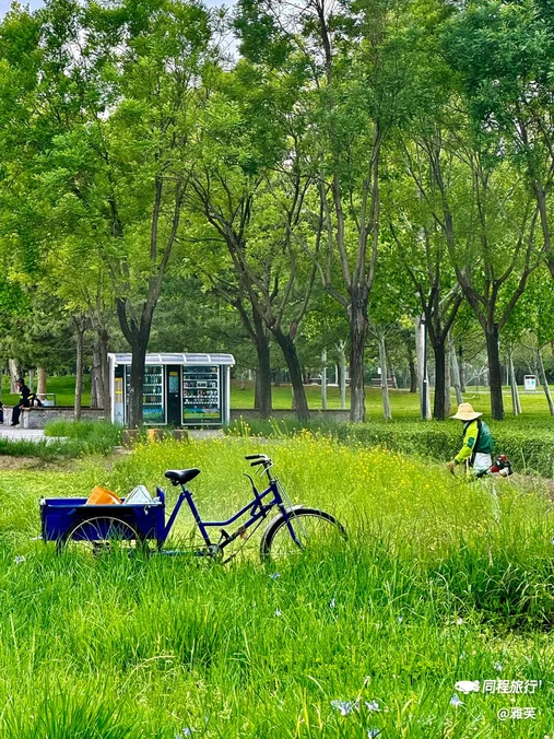 北坞公园 - 北京市旅游