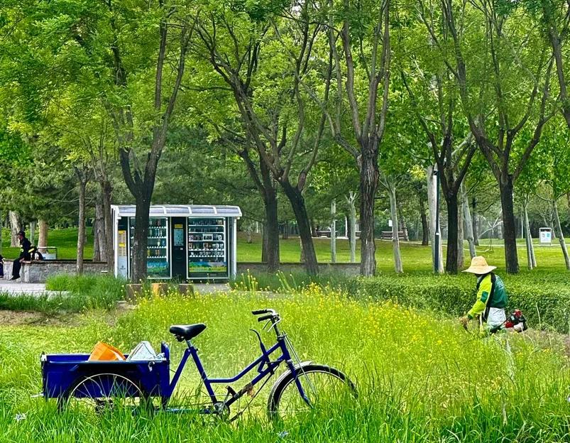 北坞公园 - 北京市旅游 1