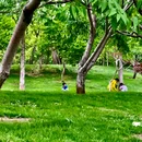 北坞公园 - 北京市旅游 缩略图 8