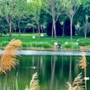 北坞公园 - 北京市旅游 缩略图 9