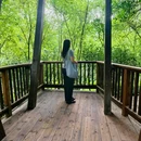 珠江公园 - 广州市旅游 缩略图 2