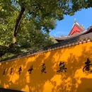 普陀山风景区 - 舟山市旅游 缩略图 3