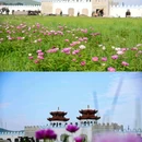 京北草原大汗行宫 - 承德市旅游 缩略图 6