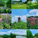 厦门园林博览苑 - 厦门市旅游 缩略图 8