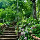 辅德里公园 - 上海市旅游 缩略图 2