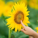 花庙门 - 重庆市旅游 缩略图 9