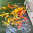 什刹海公园 - 北京市旅游 缩略图 8