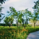 坝河公园步道 - 北京市旅游 缩略图 6