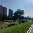 坝河公园步道 - 北京市旅游 缩略图 9