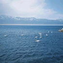 药池沸泉 - 甘孜藏族自治州旅游 缩略图 2