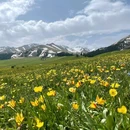 药池沸泉 - 甘孜藏族自治州旅游 缩略图 1
