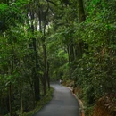 广州白云山风景名胜区-翠竹园门 - 广州市旅游 缩略图 5