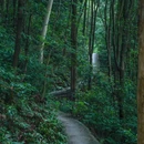 广州白云山风景名胜区-翠竹园门 - 广州市旅游 缩略图 4