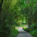 广州白云山风景名胜区-翠竹园门 - 广州市旅游 缩略图 2