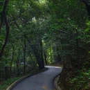 广州白云山风景名胜区-翠竹园门 - 广州市旅游 缩略图 8