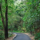 广州白云山风景名胜区-翠竹园门 - 广州市旅游 缩略图 7