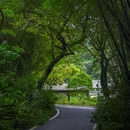 广州白云山风景名胜区-翠竹园门 - 广州市旅游 缩略图 9